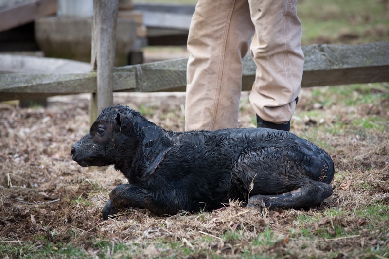 Nancy Coe Photography-16_76A1662