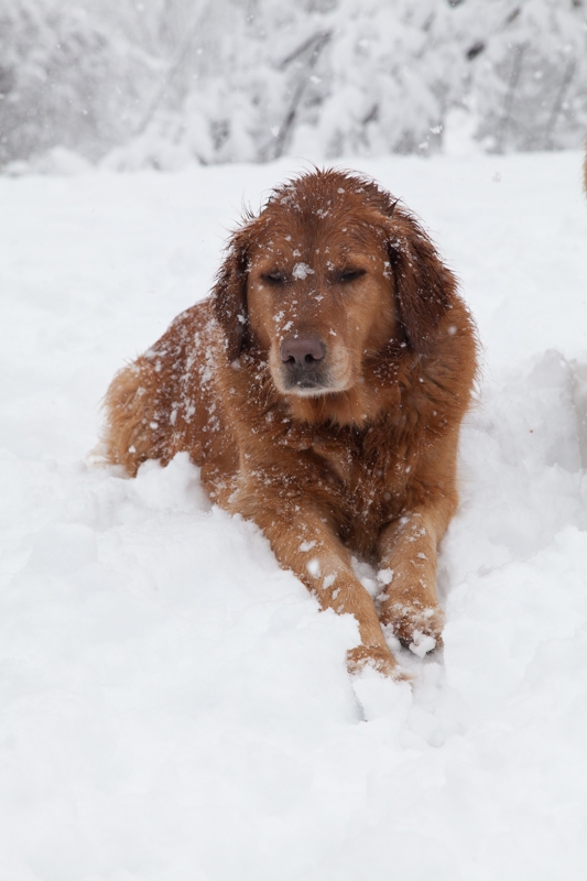 Nancy Coe Photography-35_-20