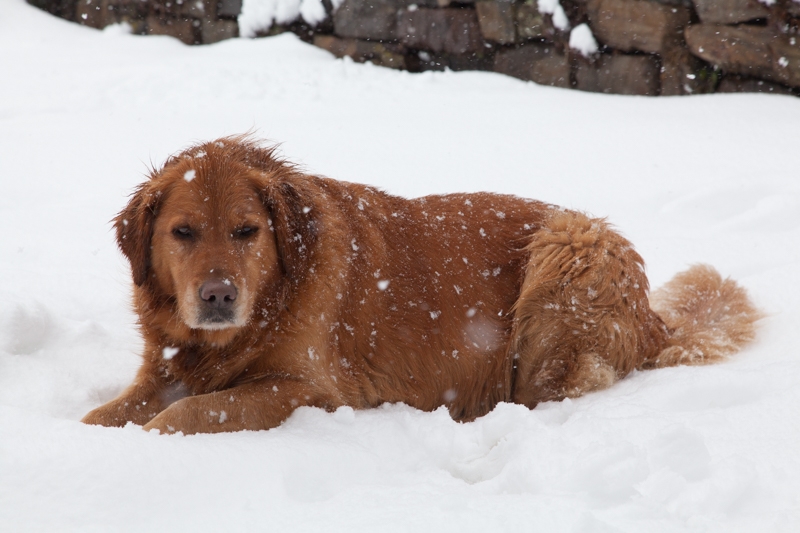 Nancy Coe Photography-36_-29