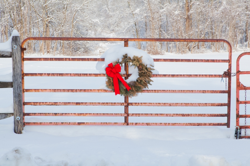 Nancy Coe Photography-41_-386