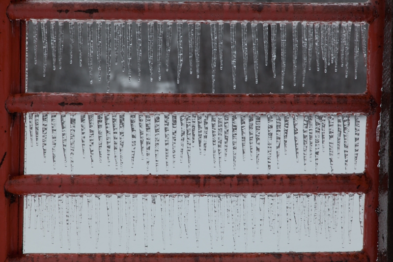 Nancy Coe Photography-43_-446