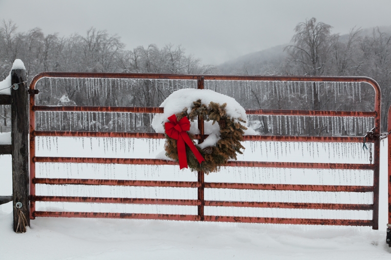 Nancy Coe Photography-44_-454