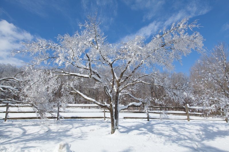 Nancy Coe Photography-45_-484