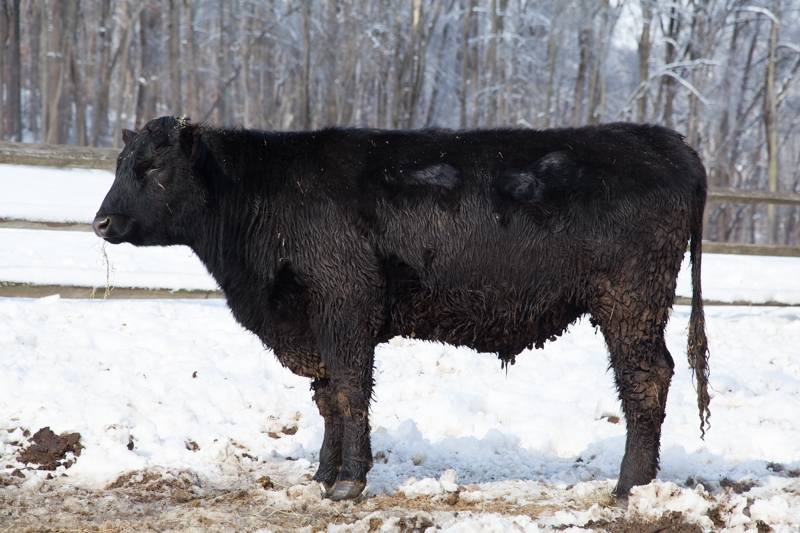 Nancy Coe Photography-48_-524