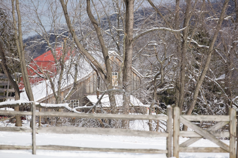 Nancy Coe Photography-52_-227