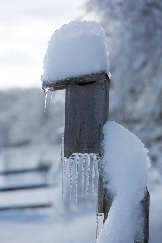 Nancy Coe Photography-55_-271