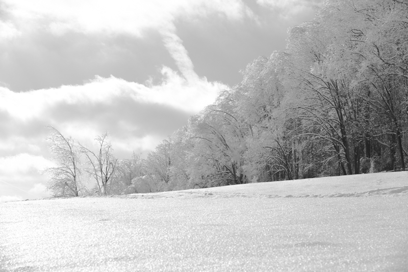 Nancy Coe Photography-56_-315