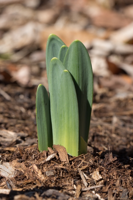 Nancy Coe Photography-57_76A1586