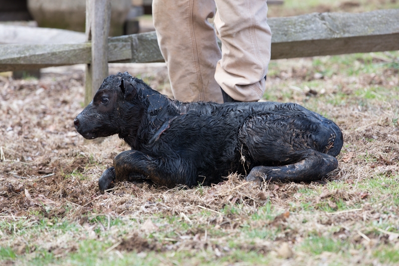 Nancy Coe Photography-58_76A1661