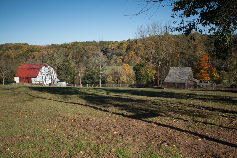 Nancy Coe Photography-65_MG_9771
