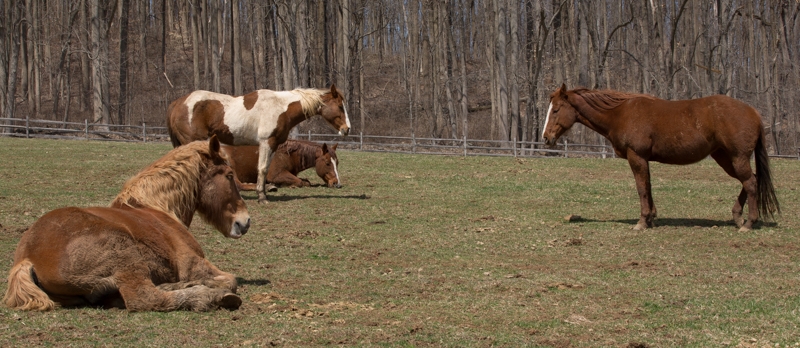 Nancy Coe Photography-6_76A1745