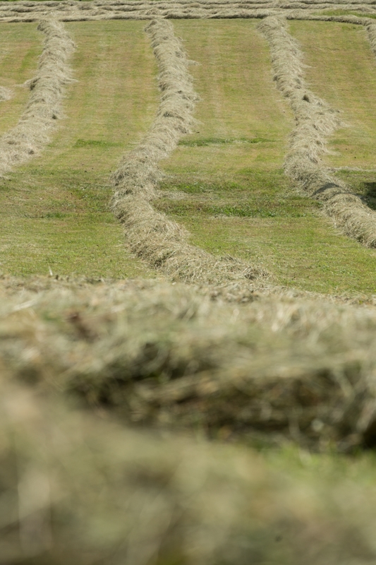 Nancy Coe Photography-10_76A5174