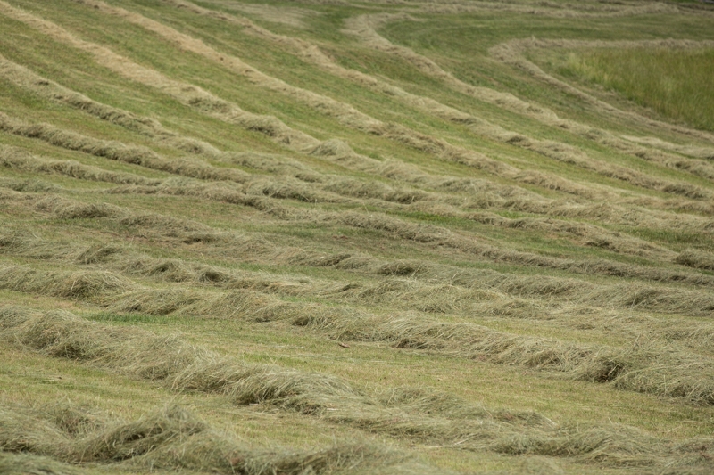 Nancy Coe Photography-11_76A5219