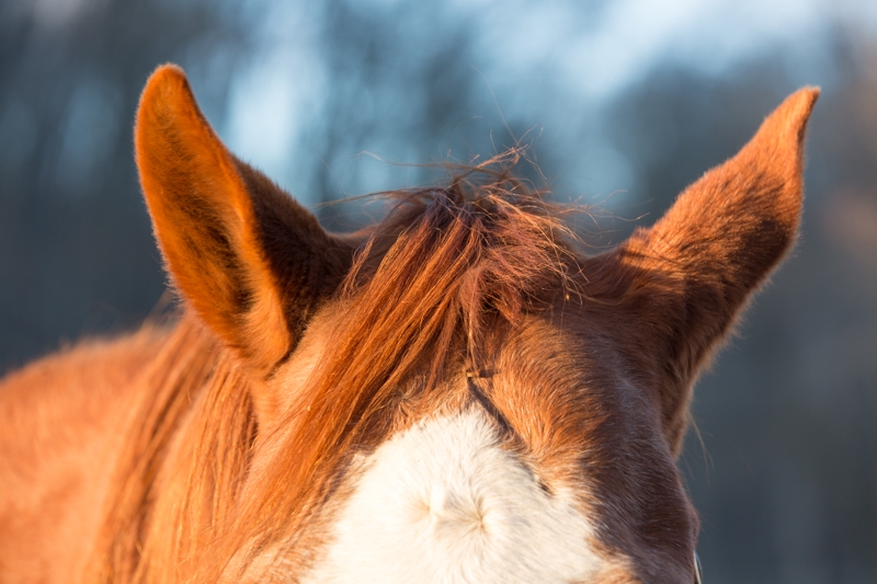 Nancy Coe Photography-14_76A4155