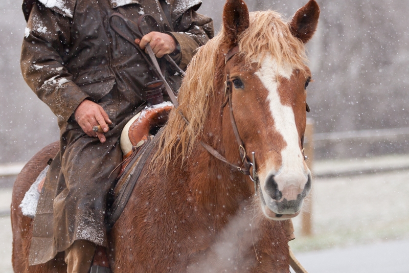 Nancy Coe Photography-17_MG_8149