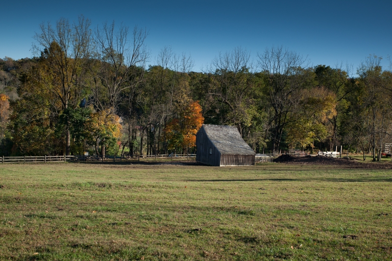 Nancy Coe Photography-1_MG_9770