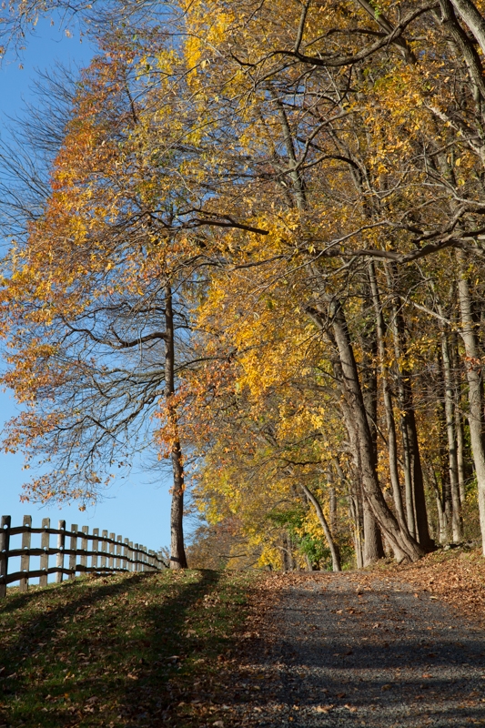 Nancy Coe Photography-3IMG_0648