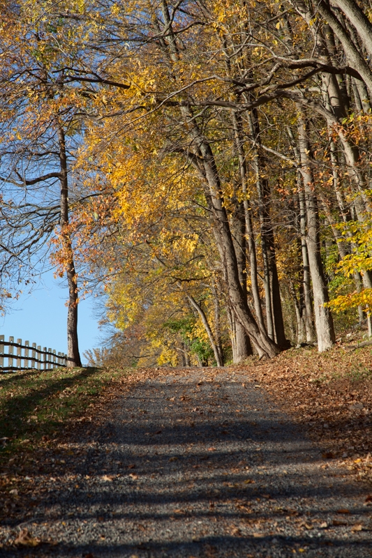 Nancy Coe Photography-4IMG_0651
