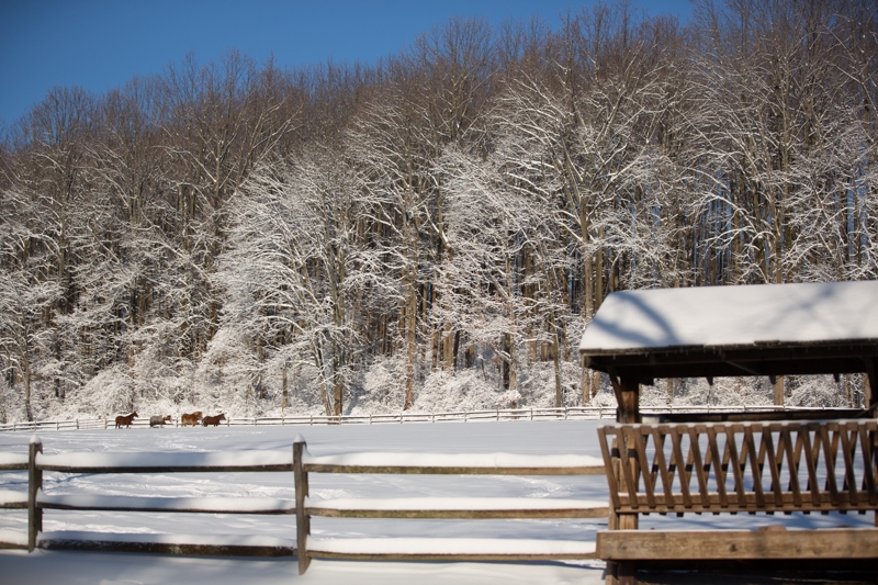 Nancy Coe Photography-8_76A7727