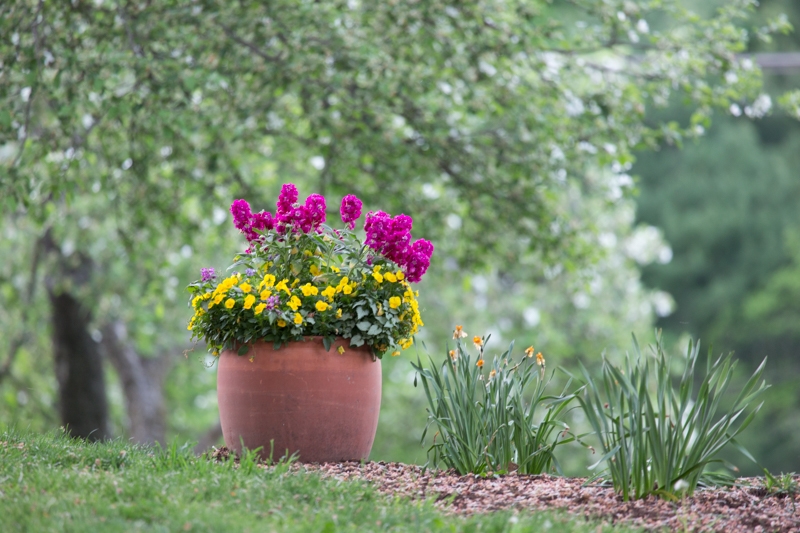 Nancy Coe Photography-9_76A0097